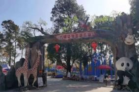 2022武汉九峰动物园门票多少钱一张
