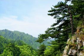 2022木札岭景区开放时间