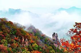 西泰山风景区一日游攻略