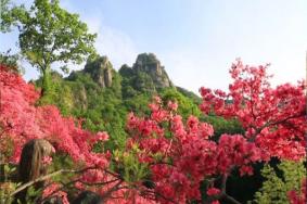 西泰山风景区交通路线