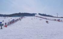 2022青岛藏马山滑雪场游玩攻略 - 门票价格 - 开放时间 - 简介 - 地址 - 交通 - 天气 - 电话