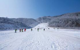 阿勒泰有哪些滑雪場 五大必去滑雪場介紹