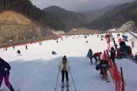 大明山滑雪场是人造雪吗