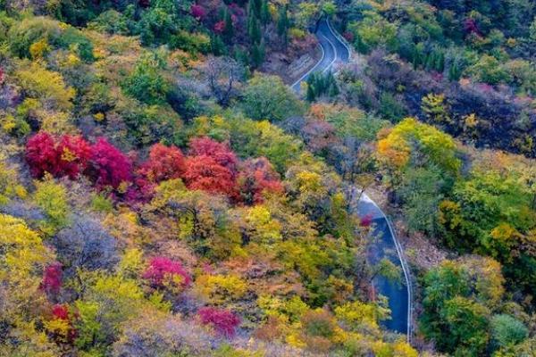 潭溪山看红叶的地方推荐