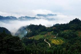 蒙顶山和蒙山是一个地方吗