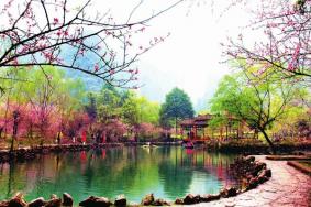 12月8日起酉阳桃花源景区恢复对外开放