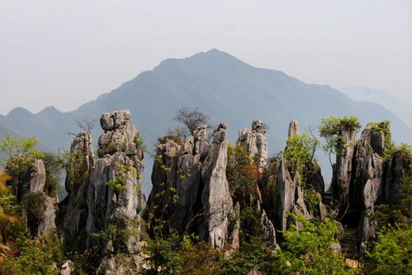 2024广安华蓥山景区门票价格