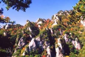 2024西安王顺山国家森林公园开放时间