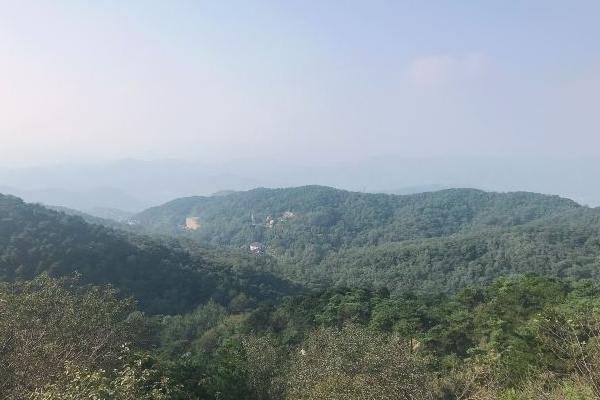 魯山森林公園從哪個門進好