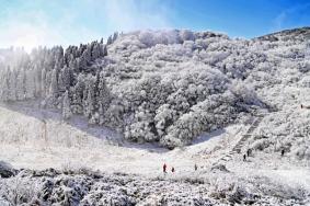 重庆哪里雪景好看