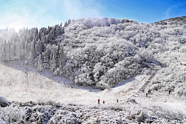 重庆哪里雪景好看 重庆雪景最美的地方