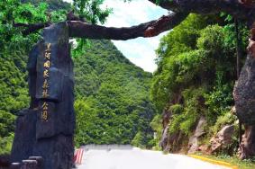 黑河国家森林公园可以开车上去吗?