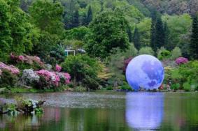 深圳仙湖植物园营业时间最新2022