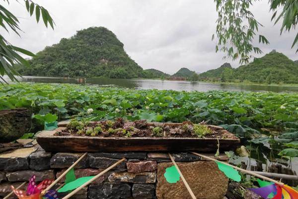 文山普者黑15一17号天气适合旅游吗? (文山普者黑有轨电车投资开发有限公司)