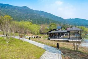 苏州大阳山国家森林公园在哪里 附交通指南