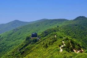 2024大阳山国家森林公园开放时间