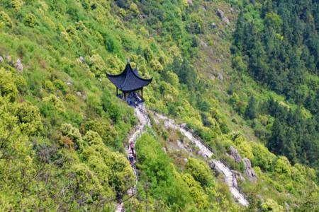 2024大阳山国家森林公园游玩攻略 - 门票价格 - 优惠政策 - 游玩路线 - 开放时间 - 景点介绍 - 简介 - 交通 - 地址 - 电话 - 天气