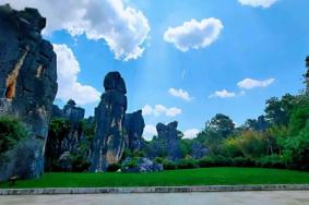 2022云南昆明石林风景区门票价格