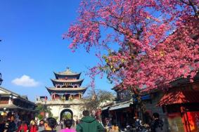 2022大理古城门票价格
