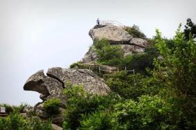 河南鸡公山风景区简介