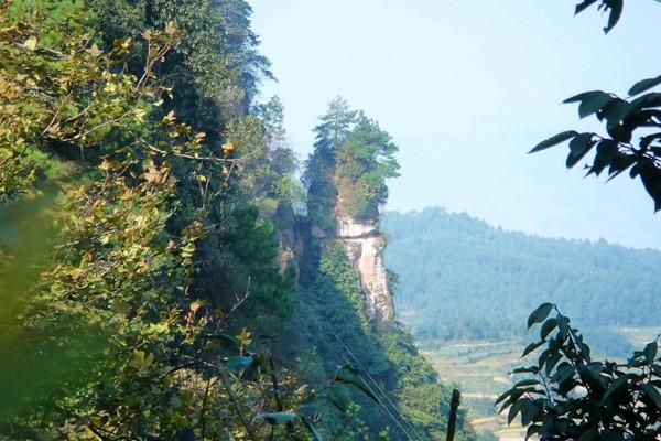 雞公山風景區怎么樣？值得去嗎？