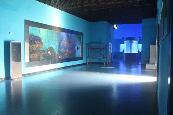 2024徐州水族展览馆游玩攻略-门票价格-景点信息