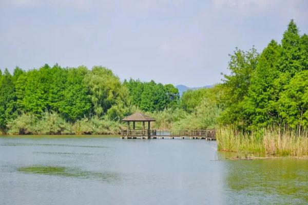 2024太湖国家湿地公园最新营业时间