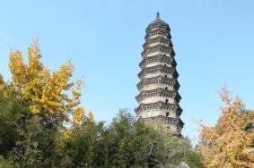 汶上宝相寺文物介绍