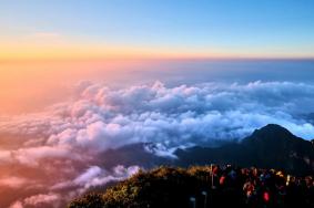 2023年峨眉山景区门票价格多少