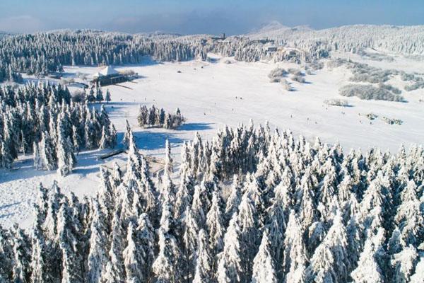 重慶八大賞雪的好地方