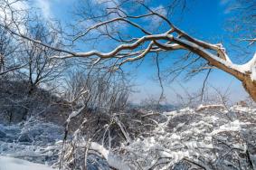 南京看雪景好去处 南京雪景最漂亮的地方