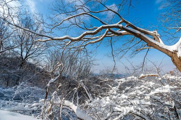 北京看雪景好往背 北京雪景最标致的处所