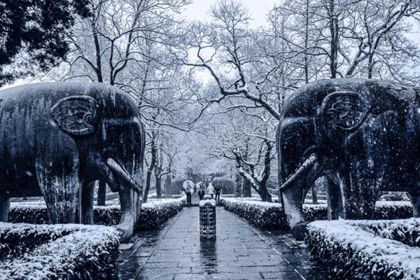 北京看雪景好往背 北京雪景最标致的处所