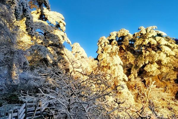 2022年黄山风景区冬季价格政策公布