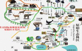 貴陽森林野生動物園游玩攻略-門票價格-景點信息