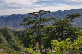 2022圣莲山风景区开放时间