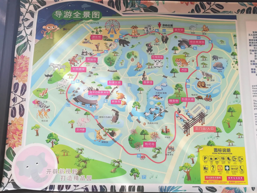 2024东莞香市动物园游玩攻略 - 门票价格 - 开放时间 - 表演时间 - 地址 - 交通 - 天气