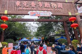 香市动物园45元门票怎么团购