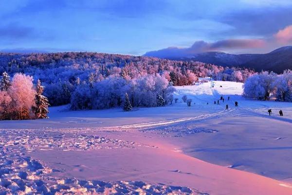 2022-2023年黑龙江冬季旅游应该怎么玩？推荐148个旅游目的地畅玩整个冬季