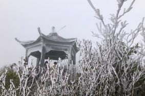 广东冬季去看雪的地方有哪些