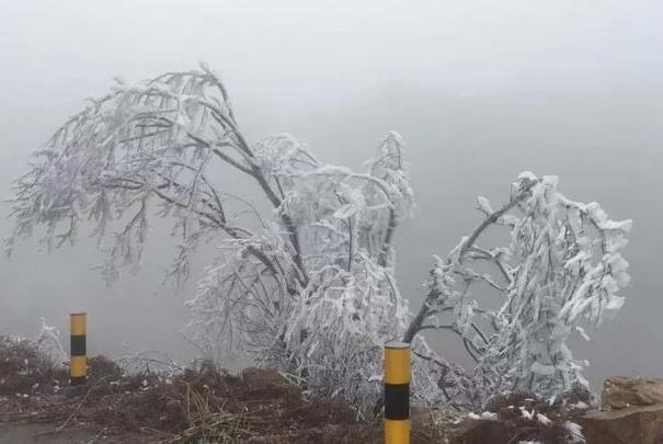 廣東冬季去看雪的地方有哪些