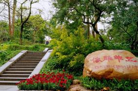 广州越秀公园开放时间2023