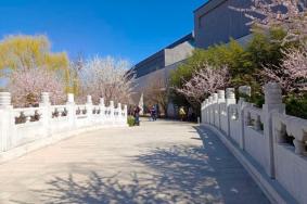 2024中国园林博物馆门票优惠政策