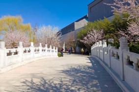 中国园林博物馆可以当天预约吗