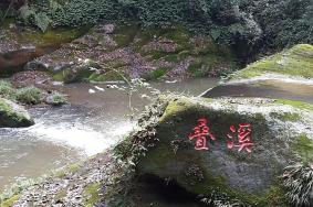 碧峰峡景区65岁以上要门票吗