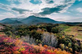 花果山国家森林公园游玩攻略