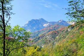 洛阳花果山景区有哪些景点