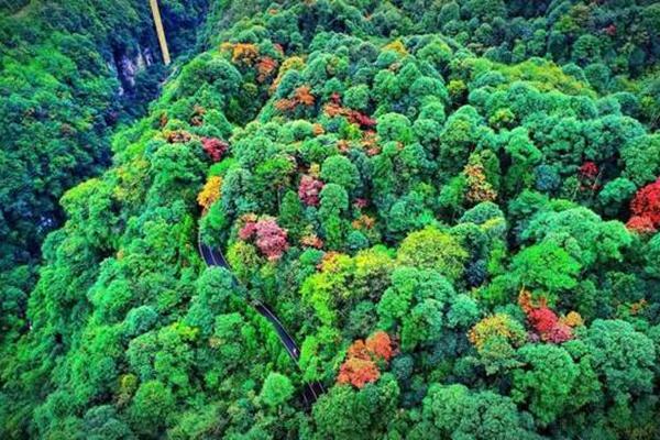 碧峰峡好玩吗？要爬山吗？值得去吗？