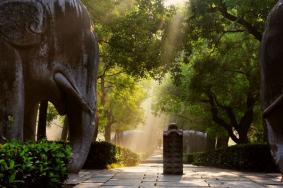 南京总统府景点介绍 旅游景点