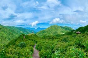 长沙怎么去大围山森林公园